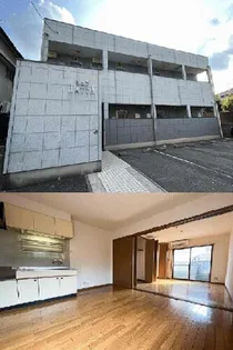 ピュアHATTAの画像