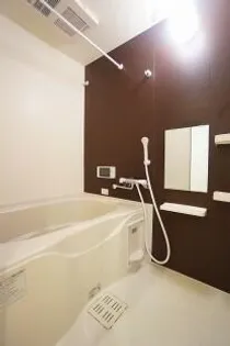 LA LUCE Y Nの画像