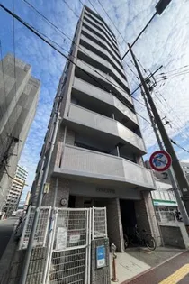 コスモス御笠川の画像