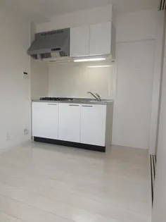 ルミナスSTの画像