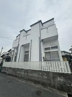 ソフィー21の画像