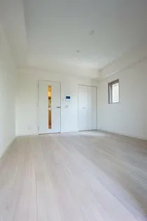 サヴォイソリディティの画像