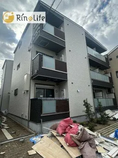 1ER CAMELLIAの画像