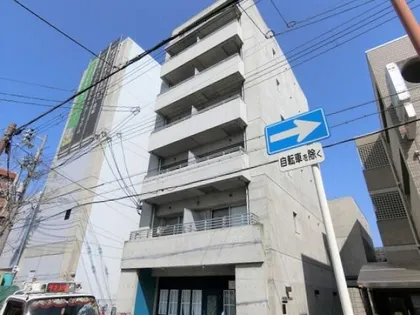 アネシスフナキの画像