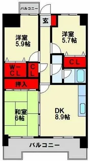 オロマーレ折尾南Ⅰ【506号室】の間取り