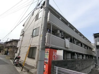 サンフォレスト新中条【206号室】の外観