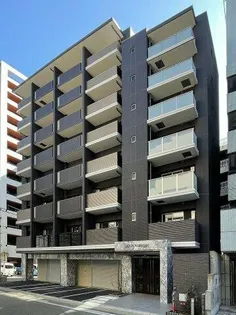 LELION KAWAKAMIの画像