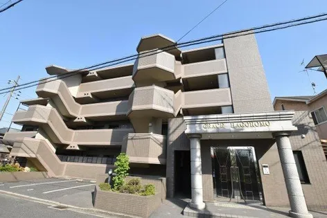 グレイス羽衣の画像