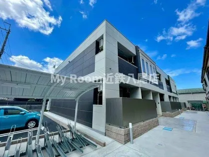 MSDISON SEEDの画像