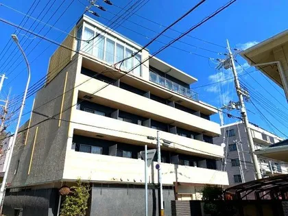 ラティ岡本の画像