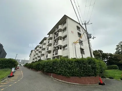 和泉府中団地2号棟の画像