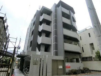 ピュールの画像