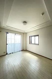 スターライトの画像