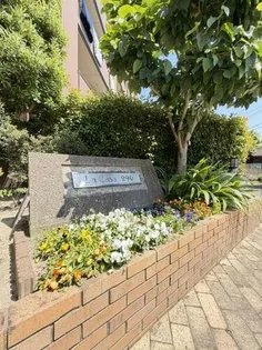 ラ カーサの画像
