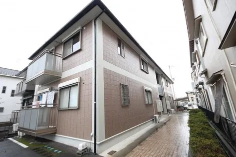 カメリアの画像