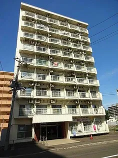 チサンマンション第11札幌の画像