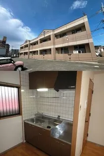 NEO PLAZA和白の画像