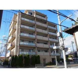 GRACE A P Cの画像