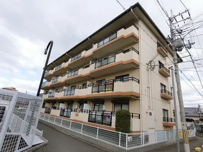 シャロームDの画像