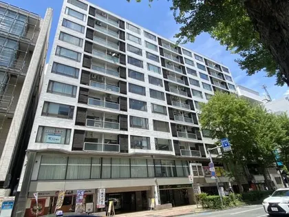 天神パインクレスト【715号室】の外観