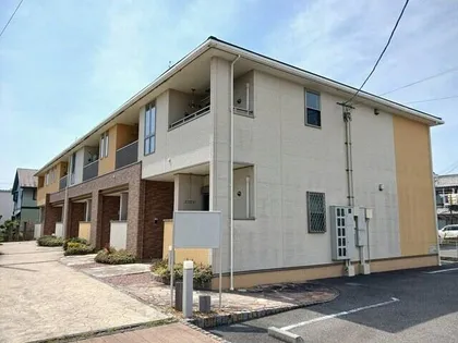 プラシード沖野の画像