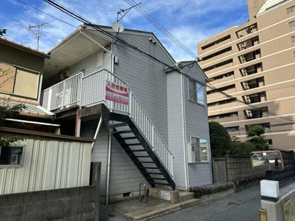 ブルースターの画像