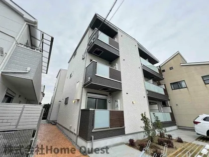 1ER CAMELLIAの画像