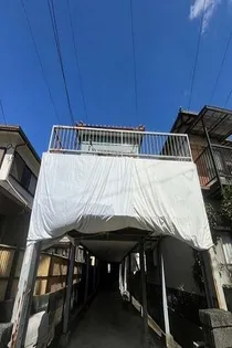 シュプールホダカの画像