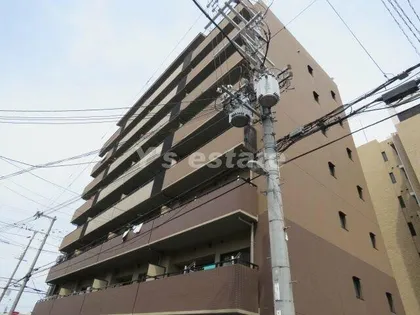 マルーン平野の画像