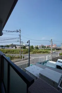 パレエクセラの画像
