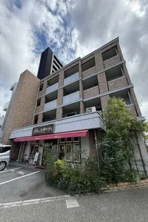 マキシムKの画像