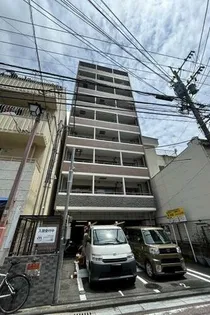 ビオラ パラッツォの画像