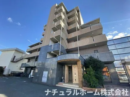 エクシードⅦの画像