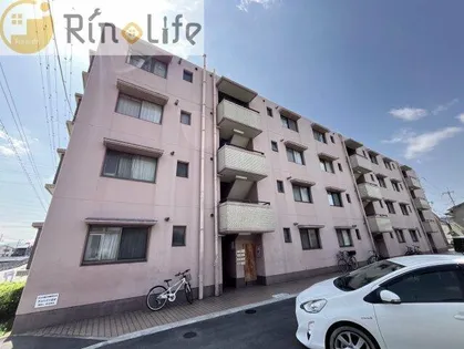 サンハイツ高安【1階】の外観