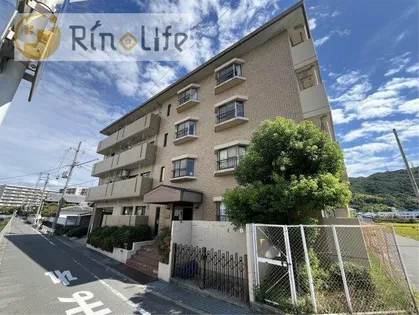 ビューハイム茶の木【3階】の外観