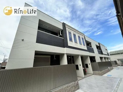 MSDISON SEEDの画像