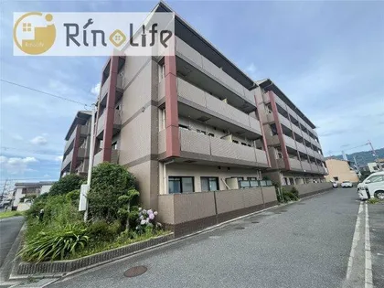 カーサフィオーレ壱番館の画像