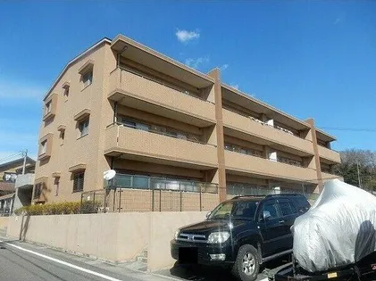 プランドールの画像