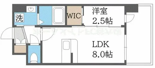 セレニテ南堀江エクラ【9階】の間取り