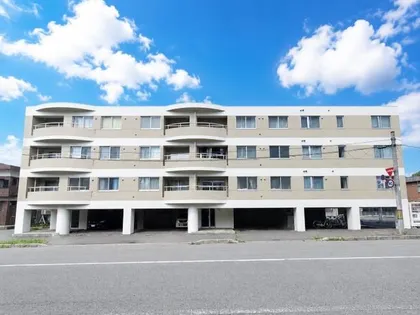 ステラ プレミアムの画像