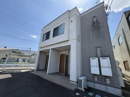 パインフィールド松の画像