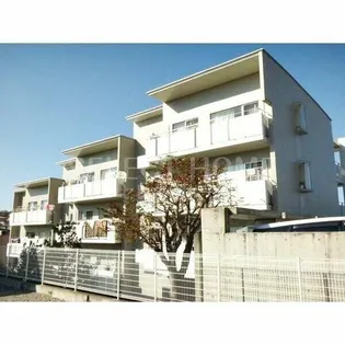 マストプラスⅠの画像