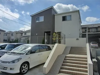 梅森坂の樹の画像