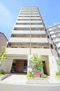 スプランディッドキャトルの画像