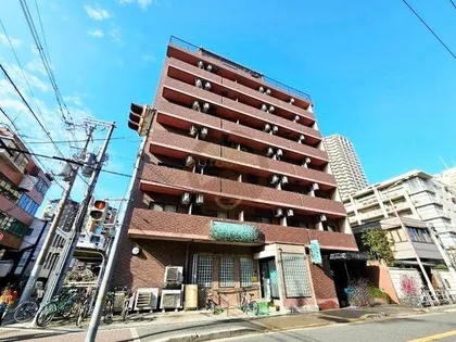 大阪府大阪市城東区中央2丁目【マンション】の外観