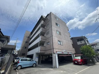 メゾン飛鳥の画像