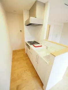 ローズハイツ【102号室】のキッチン