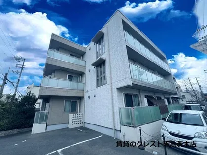 グレーシアの画像