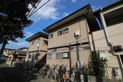 フェルティMSの画像