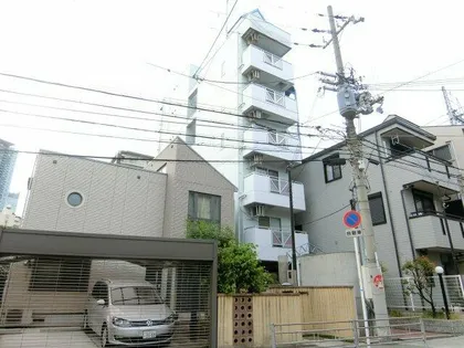 チコアドニスの画像